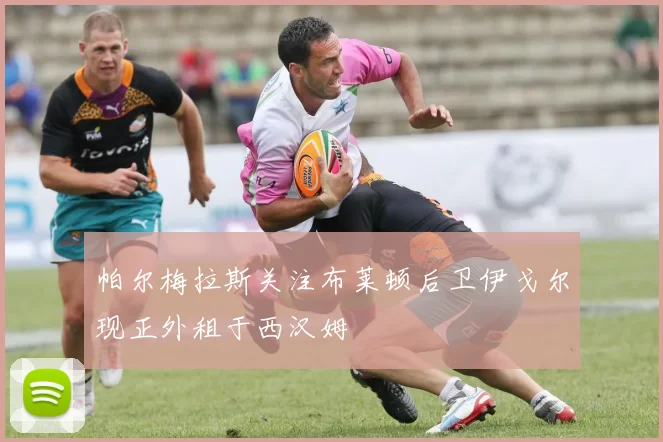 帕尔梅拉斯关注布莱顿后卫伊戈尔现正外租于西汉姆